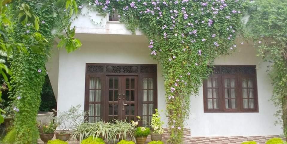Abha Villa Galle Bagian luar foto